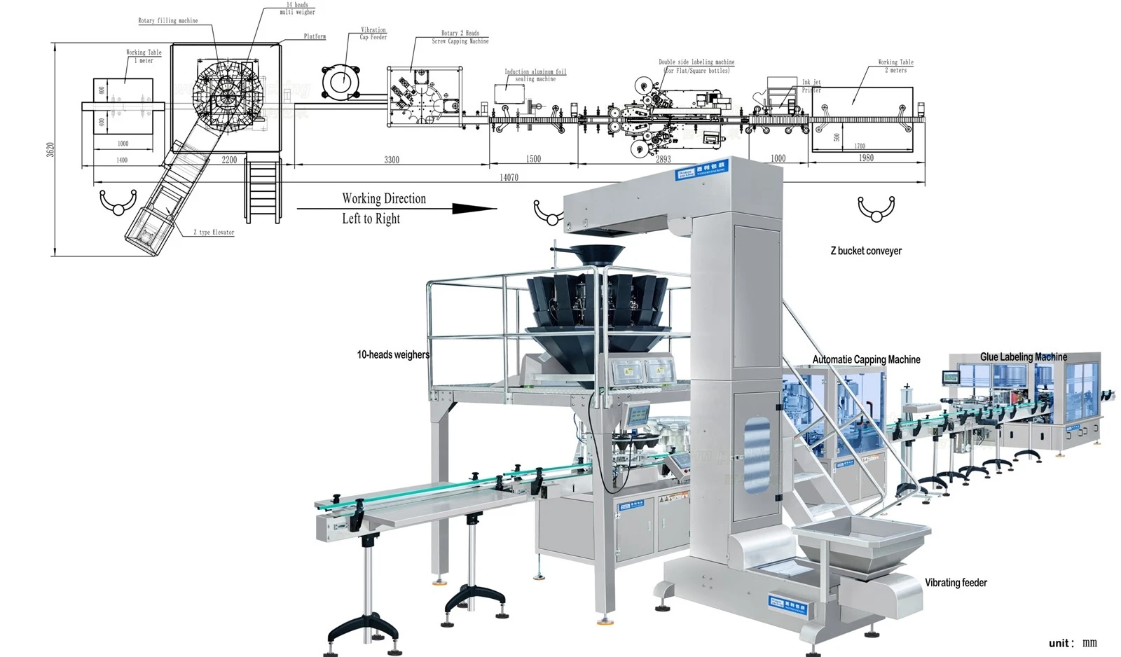 cashew tin packing machine cashew tin packing machine